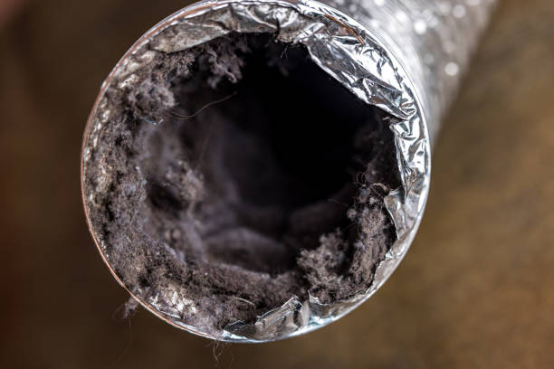 Best Local Air Duct Cleaning Services  in Putnam Lake, NY